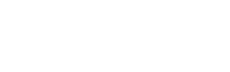 Bizoo